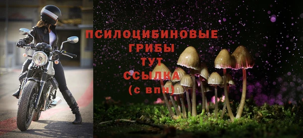 a pvp Долгопрудный