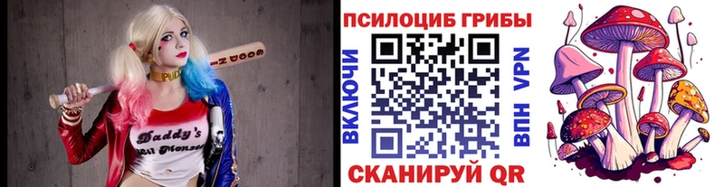 хочу наркоту  Соликамск  Галлюциногенные грибы Magic Shrooms 